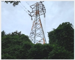  2024Ÿ��116784  �Ӿ߰��