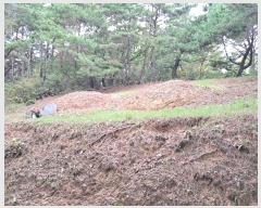  2024Ÿ��116784  �Ӿ߰��