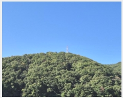  2024Ÿ��116784  �Ӿ߰��