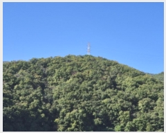  2024Ÿ��116784  �Ӿ߰��