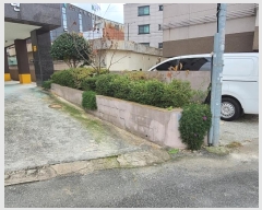  2024Ÿ��117886  �ٰ������ð��