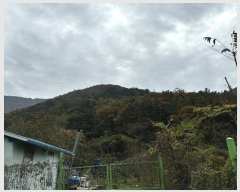  2024Ÿ118636 泲   ݻ긮 87      (Ӿ)