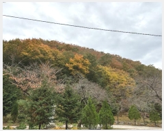  2024Ÿ118636 泲   ݻ긮 87      (Ӿ)