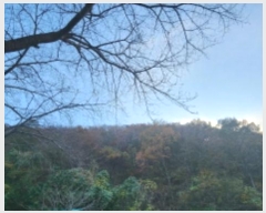  2024Ÿ118636 泲   ݻ긮 87      (Ӿ)