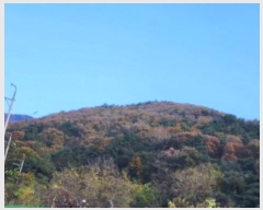  2024Ÿ118636 泲   ݻ긮 87      (Ӿ)