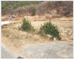  2024Ÿ��119615  ����