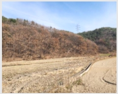  2024Ÿ��119615  ����