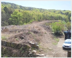  2024Ÿ��3185 ��� ���ֱ� �¾��� �߸� ��199-2      ����(�Ӿ�)���