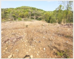  2024Ÿ��3185 ��� ���ֱ� �¾��� �߸� ��199-2      ����(�Ӿ�)���