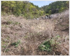  2024Ÿ��3185 ��� ���ֱ� �¾��� �߸� ��199-2      ����(�Ӿ�)���