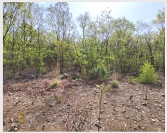  2024Ÿ��3185 ��� ���ֱ� �¾��� �߸� ��199-2      ����(�Ӿ�)���