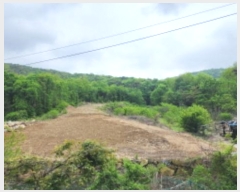  2024Ÿ��3185 ��� ���ֱ� �¾��� �߸� ��199-2      ����(�Ӿ�)���