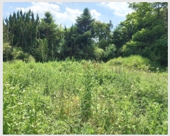  2024Ÿ��4768 ��� ���ֱ� �ε��� ���̸� 938      ����(����)���