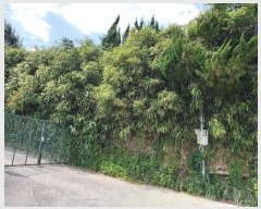  2024Ÿ��4768 ��� ���ֱ� �ε��� ���̸� 938      ����(����)���