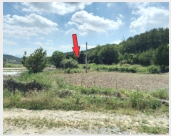  2024Ÿ��4768 ��� ���ֱ� �ε��� ���̸� 938      ����(����)���