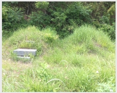  2024Ÿ��4768 ��� ���ֱ� �ε��� ���̸� 938      ����(����)���