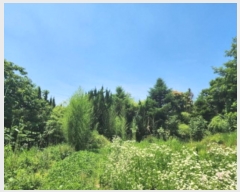  2024Ÿ��4768 ��� ���ֱ� �ε��� ���̸� 938      ����(����)���