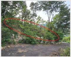  2024Ÿ��4805 ��� ���ֱ� ����� �ٰ��� 519-90      ����(�Ӿ�)���