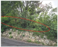  2024Ÿ��4805 ��� ���ֱ� ����� �ٰ��� 519-90      ����(�Ӿ�)���