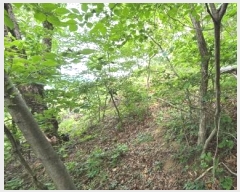  2024Ÿ��4805 ��� ���ֱ� ����� �ٰ��� 519-90      ����(�Ӿ�)���