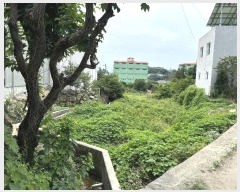  2024Ÿ��5099  ����