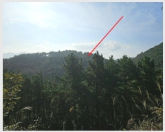  2024Ÿ��8135 ��� ���ֱ� �ε��� ���踮 ��177-1      ����(�Ӿ�)���