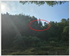  2024Ÿ��8135 ��� ���ֱ� �ε��� ���踮 ��177-1      ����(�Ӿ�)���