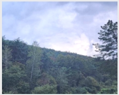  2024Ÿ��8135 ��� ���ֱ� �ε��� ���踮 ��177-1      ����(�Ӿ�)���