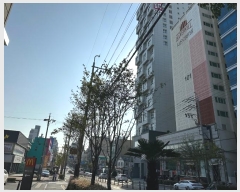  2024Ÿ9008   6 3, 3310ȣ (ϻ굿,Ʈ)     ǽڰ