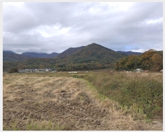  2024Ÿ��9411  ����