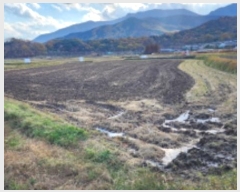  2024Ÿ��9411  ����