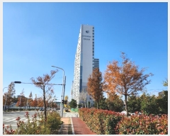  2024Ÿ9701   6 18, 201 141409ȣ (굿,빮ȭƮ)    Ʈ