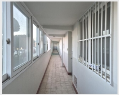  2024Ÿ9831 泲  1 43, 102 1106ȣ (,Ʈ)    Ʈ