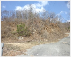  2024Ÿ��102624  �Ӿ߰��