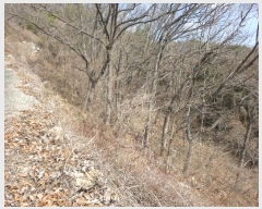  2024Ÿ��102624  �Ӿ߰��