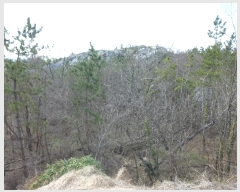  2024Ÿ��102624  �Ӿ߰��