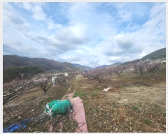  2024Ÿ��103092 �泲 ���� ������ ������ 1303      ����(��1)���