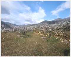  2024Ÿ��103092 �泲 ���� ������ ������ 1303      ����(��1)���