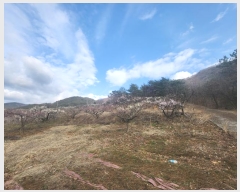  2024Ÿ��103092 �泲 ���� ������ ������ 1303      ����(��1)���