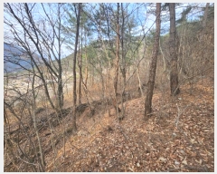  2024Ÿ��103092 �泲 ���� ������ ������ 1303      ����(��1)���