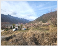  2024Ÿ��103092 �泲 ���� ������ ������ 1303      ����(��1)���