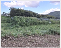  2024Ÿ��116098 ��� ���ֱ� �μ��� ��ȣ�� 640      ����(��1)���