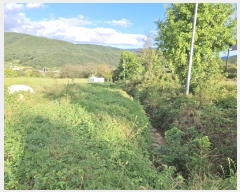  2024Ÿ��116098 ��� ���ֱ� �μ��� ��ȣ�� 640      ����(��1)���