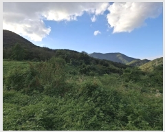  2024Ÿ��116098 ��� ���ֱ� �μ��� ��ȣ�� 640      ����(��1)���