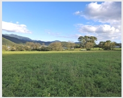  2024Ÿ��116098 ��� ���ֱ� �μ��� ��ȣ�� 640      ����(��1)���