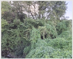  2024Ÿ��116098 ��� ���ֱ� �μ��� ��ȣ�� 640      ����(��1)���