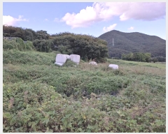  2024Ÿ��116098 ��� ���ֱ� �μ��� ��ȣ�� 640      ����(��1)���