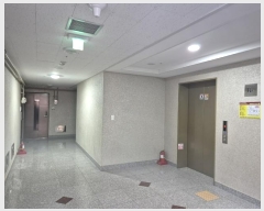  2024Ÿ118377   οշ 337-1, 191908ȣ (,ũ)     ǽڰ