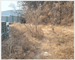  2024Ÿ��120462  ����