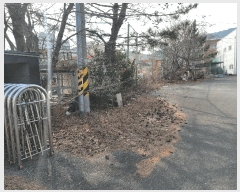  2024Ÿ��120462  ����